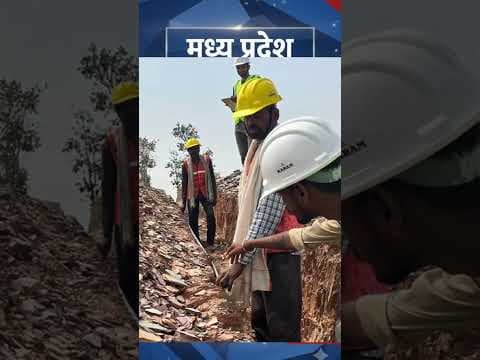 MP Breaking News: Bhopal Scientists Create India First Swine Fever Vaccine