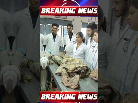 Madhya Pradesh Big News Update 27% OBC Reservation, 11,000 Teachers Promotion, MBBS Seats Increased