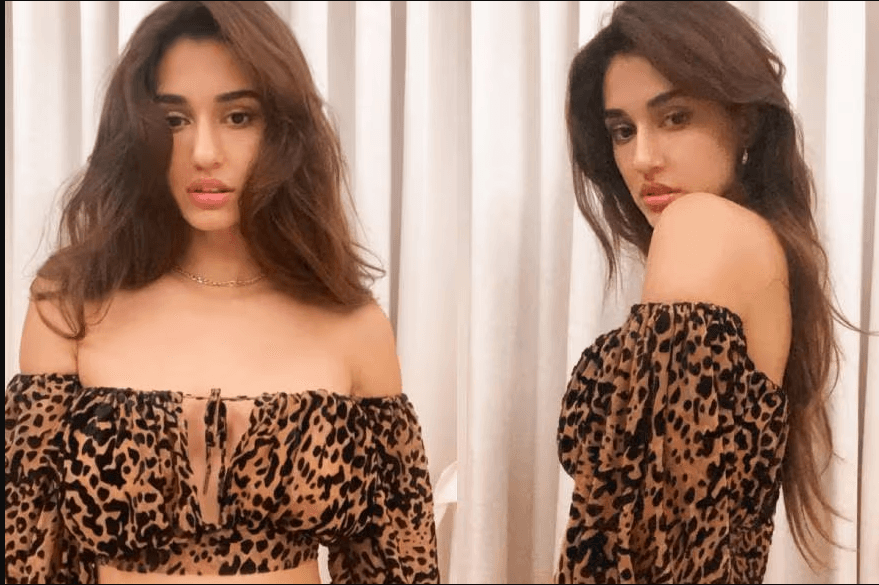 Stop Right Now: Disha Patani अपने एनिमल-प्रिंट परिधान में बिल्कुल स्टनिंग लग रही हैं!