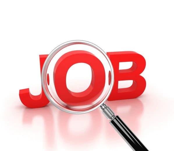 SSC CHSL 2023 Vacancy: केंद्र सरकार ने 12वीं पास युवाओं के लिए निकाली बंपर भर्तीयां, जाने नौकरियों से जुड़ी अहम बाते