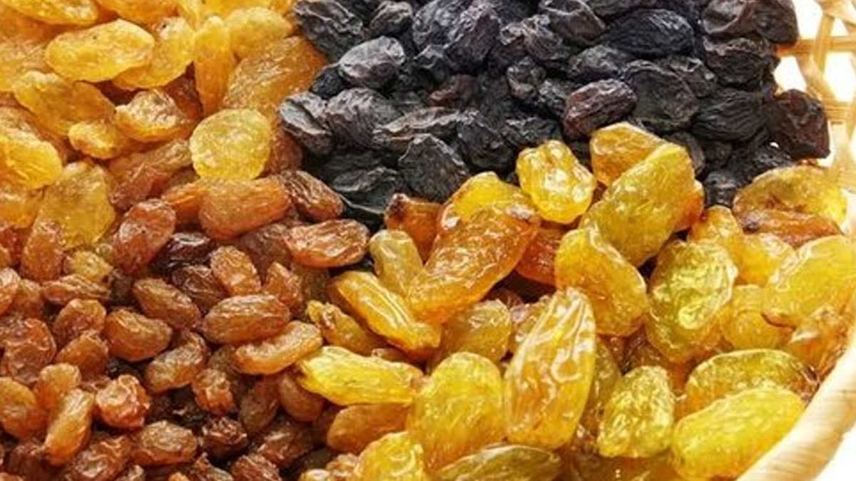 मुनक्के का सेवन है फायदेमंद, जानें लाभ, साइड इफेक्ट्स की पूरी जानकारी