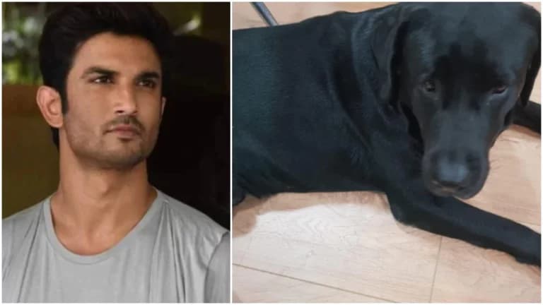 Sushant Singh Rajput के कुत्ते की मौत, भावुक प्रशंसक उनके खूबसूरत बंधन को याद करते हैं - ट्वीट्स देखें