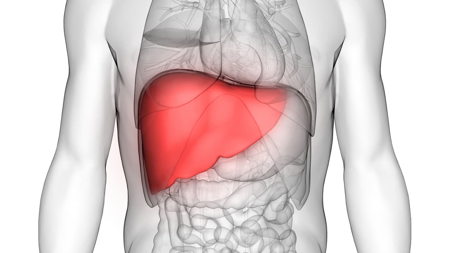 Liver: लीवर को इन 6 तरीकों से रखें स्वस्थ, खाने में लेनी जरूरी हैं ये डाइट्स