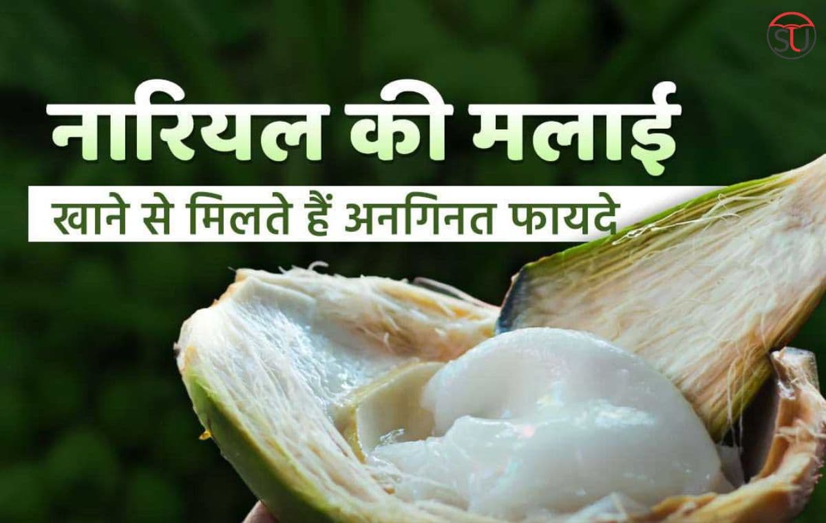 Coconut Malai Benefits: क्या आप नहीं जानते नारियल की मलाई के इन फायदों के बारे में, गर्मियों में है रामबाण इलाज!