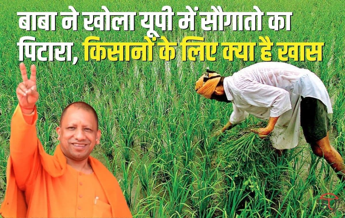 UP Budget 2023: मेट्रो, किसान, मेडिकल, एजुकेशन सहित इन क्षेत्रों में बंपर घोषणाएं, बजट को समझें आसान भाषा में...