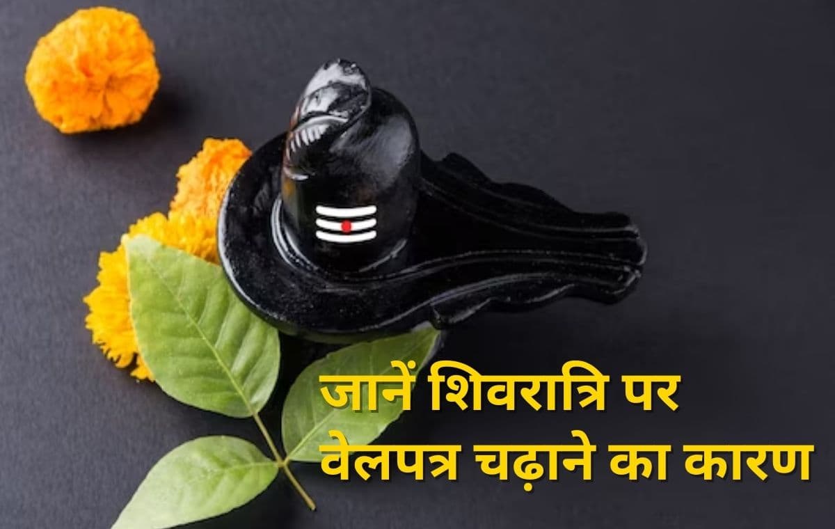 Mahashivratri 2023: जानें शिवरात्रि पर वेलपत्र चढ़ाने का कारण,  इन तरीकों से करें महादेव को प्रसन्न