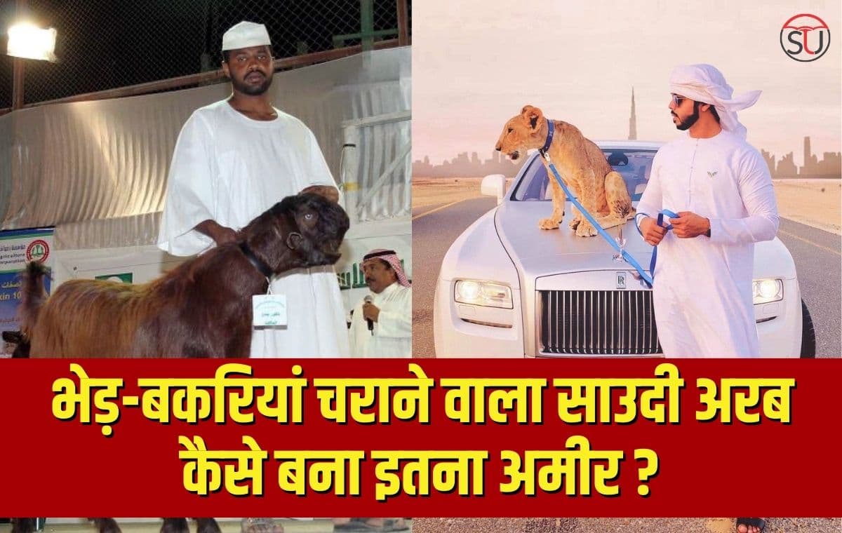 Saudi Arabia: भेड़-बकरियां चराने वाला सउदी अरब कैसे बना इतना अमीर, लोगों की सालाना कमाई सुन उड़ जाएंगे होश