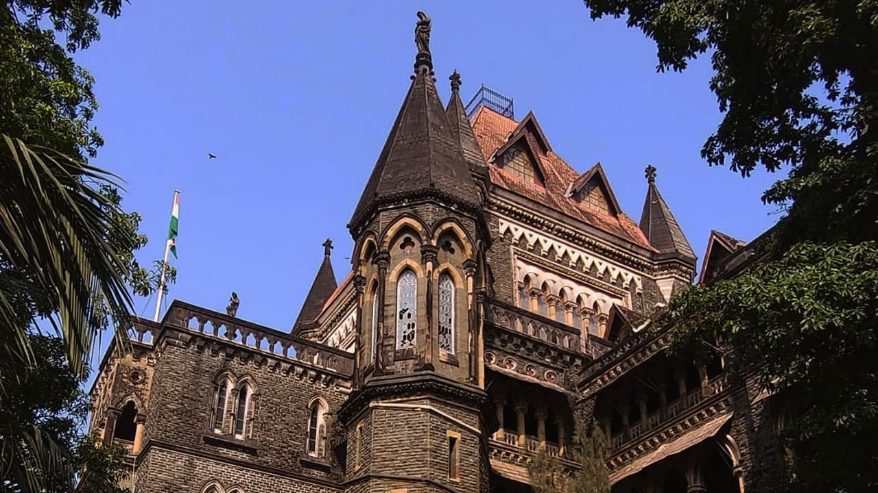 Bombay HC: आवारा कुत्तों को खाना खिलाने से रोका, कोर्ट ने कहा- 'जानवर भी जीवित प्राणी, देखभाल जरूरी