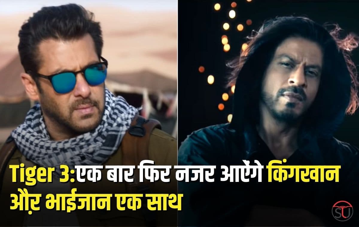 Tiger 3:एक बार फिर नजर आऐंगे किंगखान औऱ भाईजान एक साथ