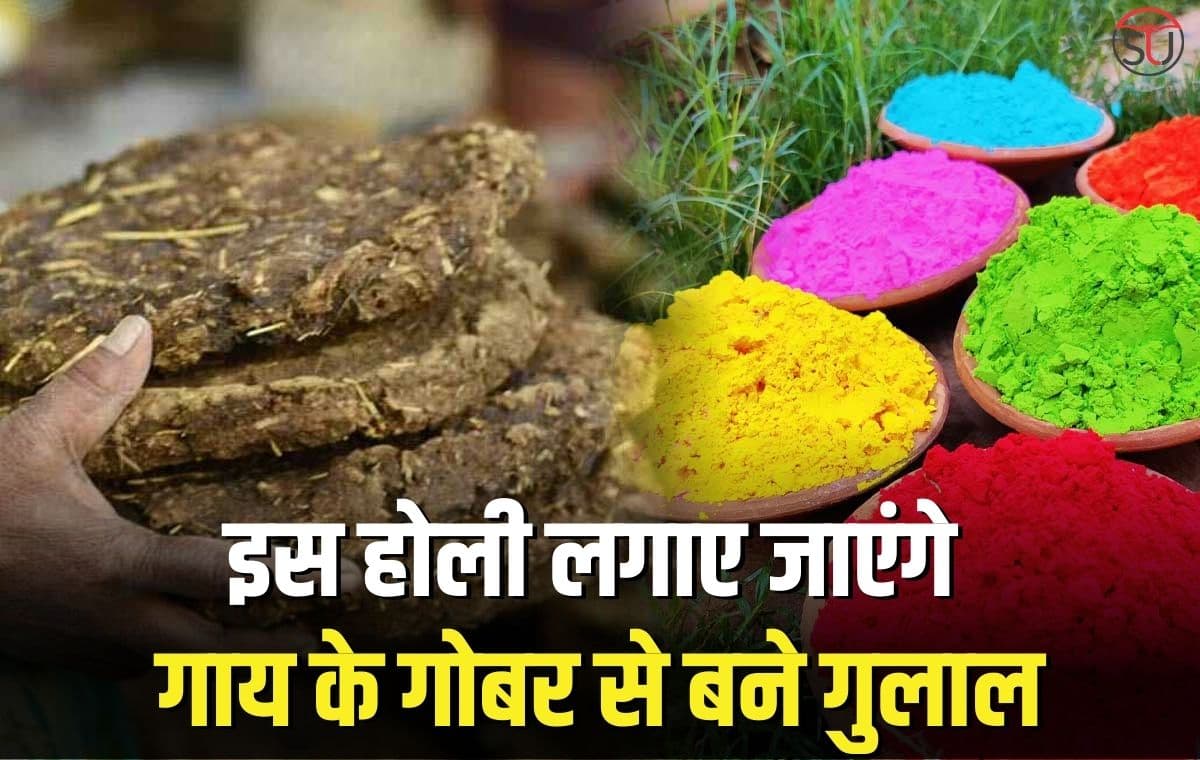 इस Holi हर्बल गुलाल बनाने की नई विधि आई सामने, अब गाय के गोबर से बनेंगे गुलाल