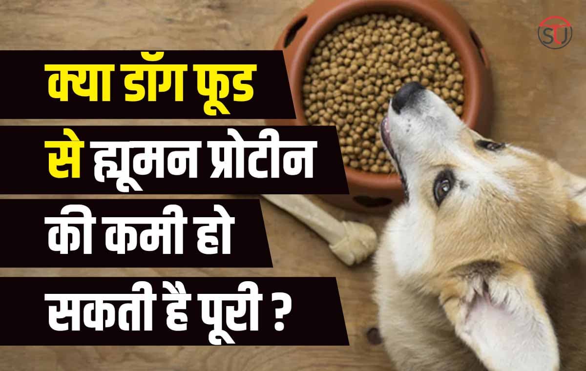 क्यों Protein के नाम पर एक युवक ने खाया डॉग फूड, जानिए क्या हुआ फायदा