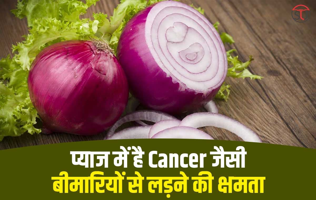 हर मौसम में प्याज खाना है जरुरी,कई बीमारियों का प्याज करेगी कई इलाज!!