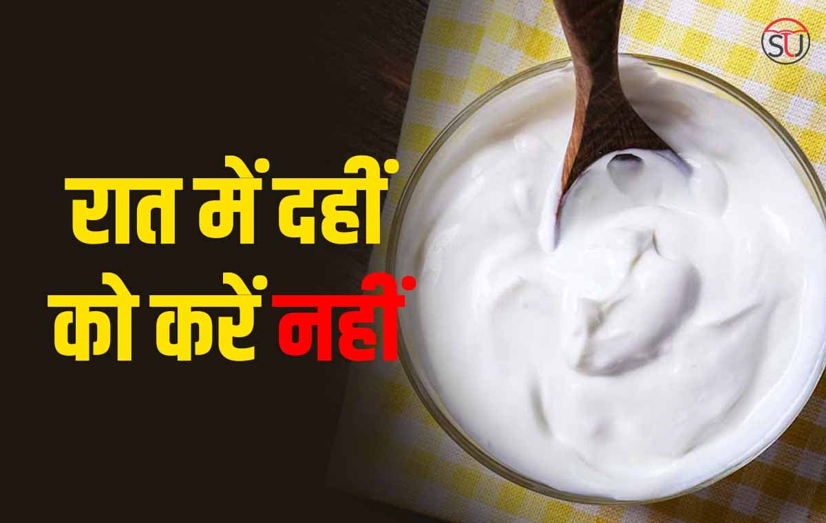 Yoghurt: दही खाने का सही समय क्या है? जाने किस समय दही खाने से पहुंचेगा शरीर को लाभ