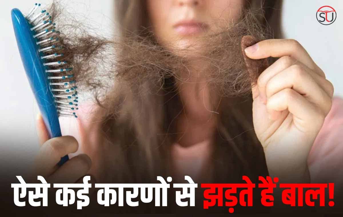 Fact Check: क्या रोज बाल झड़ने से होता है Hair Loss, जानें ये बात सच है या झूठ?