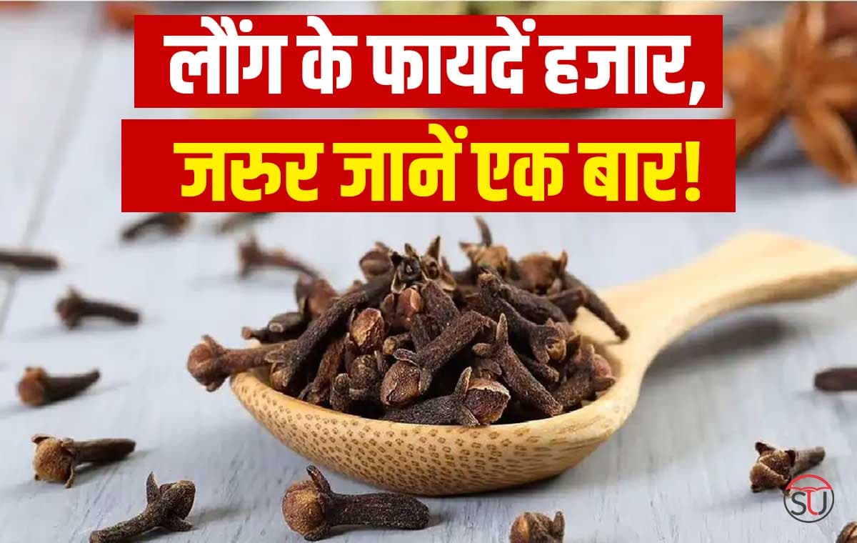 घर के मसालों में छुपे हैं कई राज़, ये छोटी सी चीज करेगी कई बीमारियों का इलाज़! जानिए क्या है छोटी सी चीज़