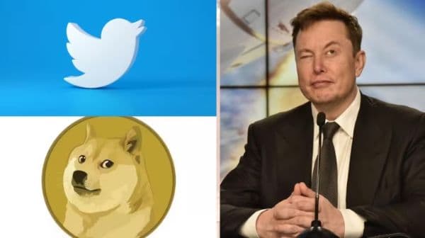 Twitter: चिड़िया उड़ी आया कुत्ता, जानिए एलन मस्क ने क्यों बदला ट्वीटर का लोगो