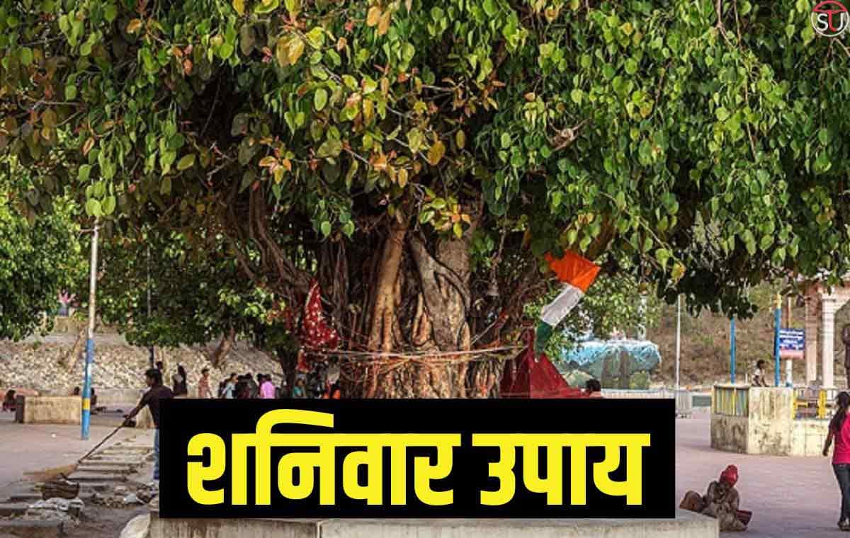 शनिवार उपाय: पीपल में जल अर्पण के समय मिलाएं ये खास चीज, बरसेगा धन ही धन