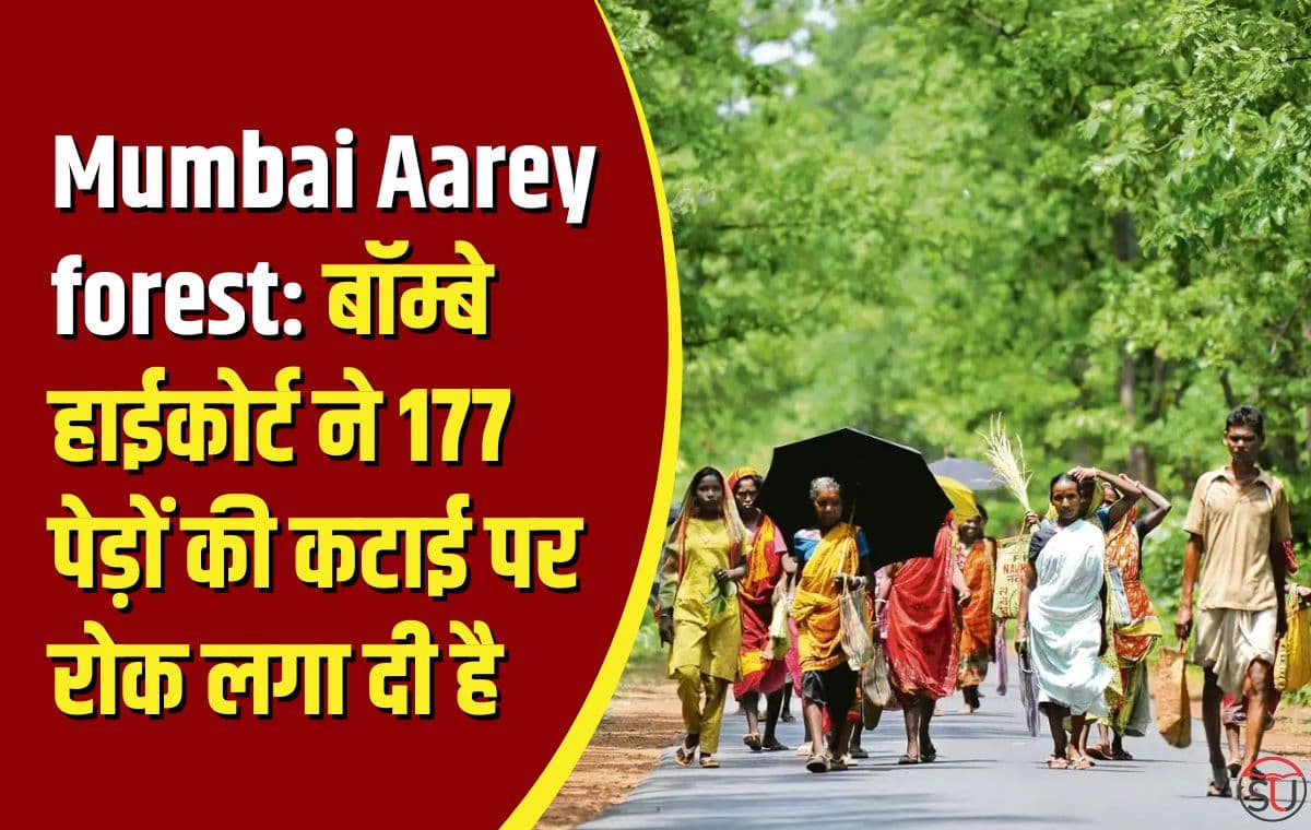 Mumbai Aarey forest: बॉम्बे हाईकोर्ट ने 177 पेड़ों की कटाई पर रोक लगा दी है