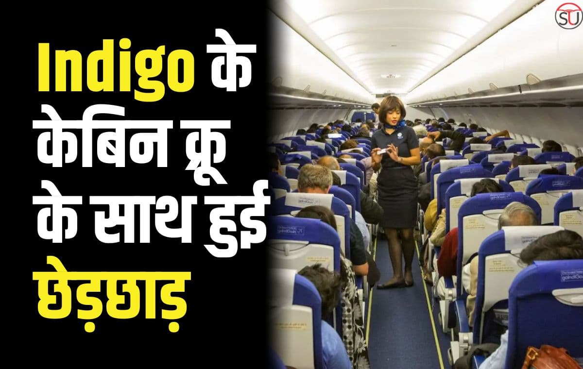 Indigo केबिन क्रू से छेड़छाड़ करने के आरोप में Swedish नागरिक गिरफ्तार