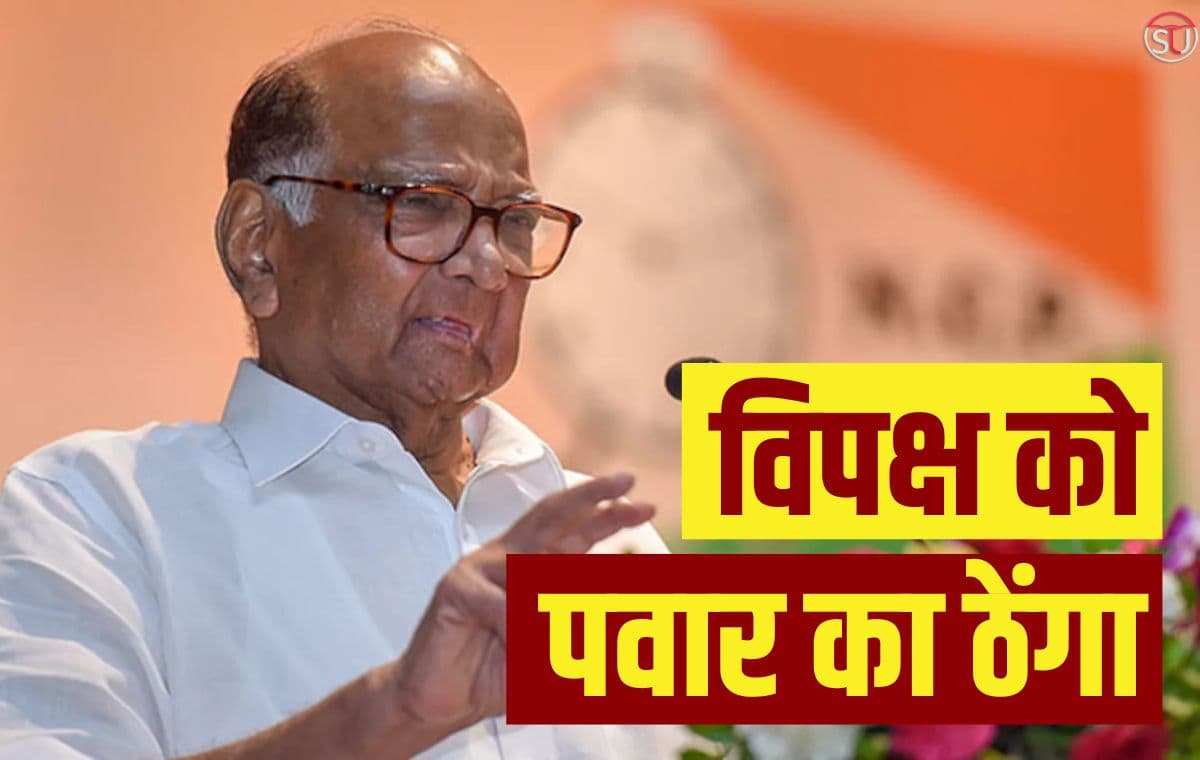 पवार का विपक्षी एकता से इतर बयान, पीएम डिग्री विवाद पर बोले- गैर जरूरी मुद्दा