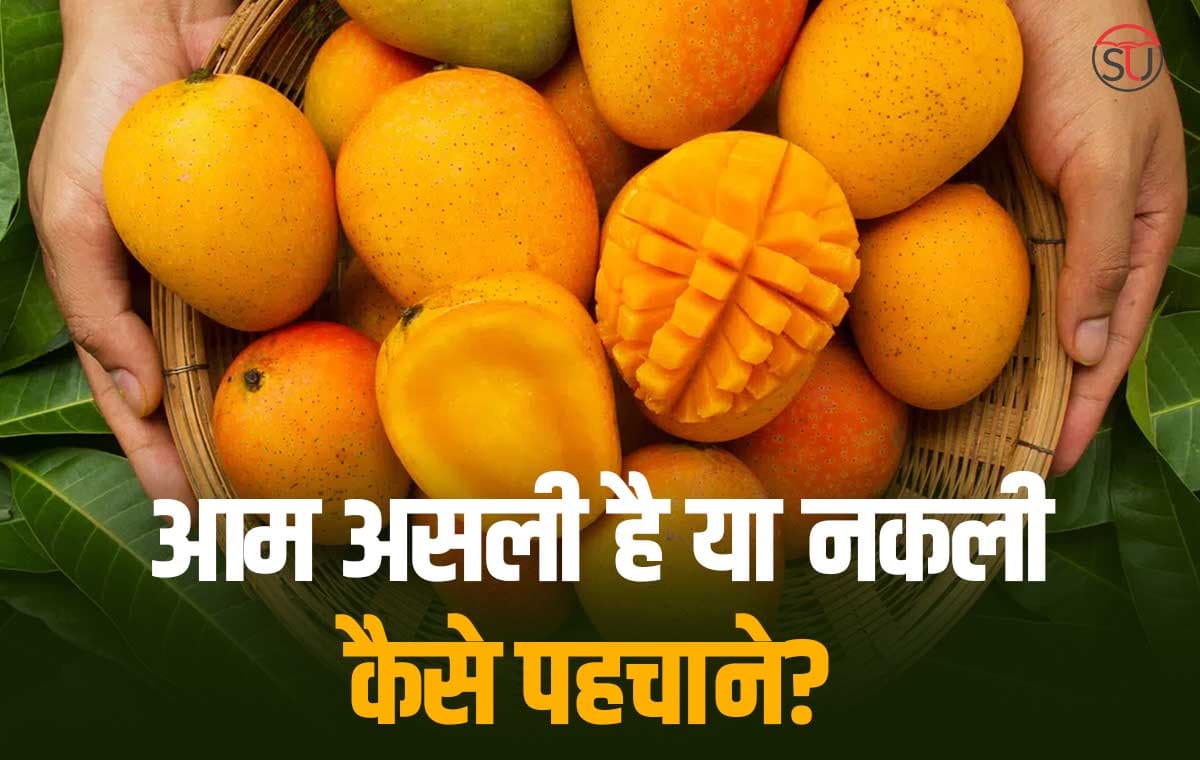 क्या आप भी बाजार से आम लेने में करते हैं जल्दबाजी, तो हो जाइए सावधान और सही आम की करें पहचान!