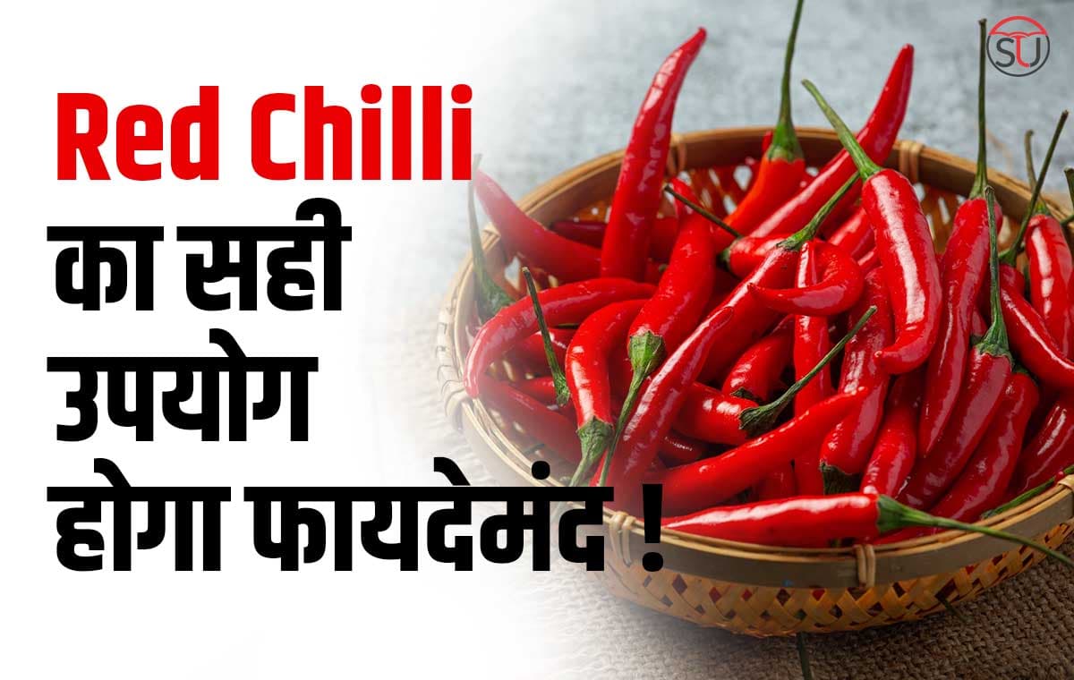 Red Chilli Benefit: लाल मिर्च में कई बीमारियों से लड़ने की क्षमता, जानकर हैरान रह जाएगें आप !!