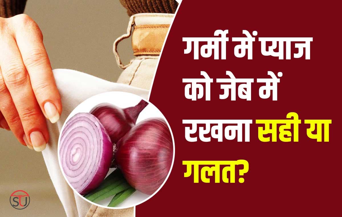 Onion Fact: क्या लू में मददगार साबित होती है प्याज, प्याज जेब में रखने से क्या नहीं लगती लू? क्या है सच!