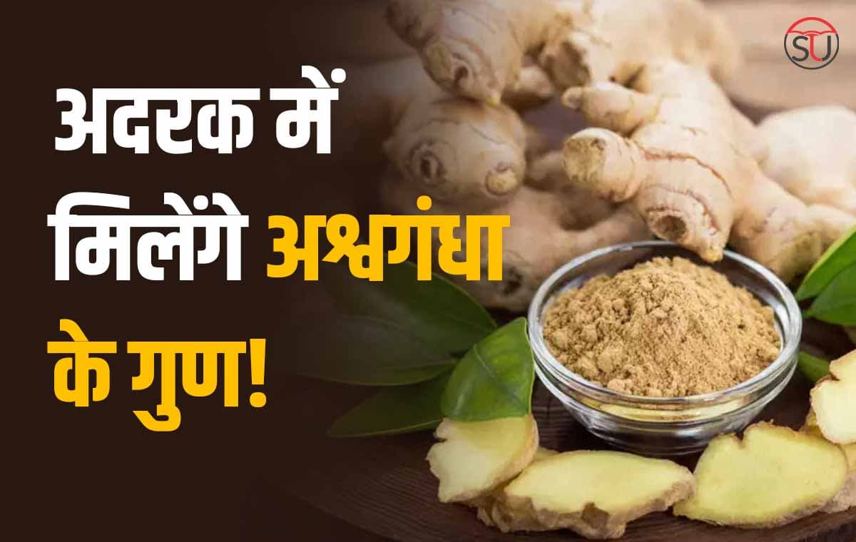 Ginger में छुपे हैं कई औषधियों को गुण, लेकिन नुकसान जानकर रह जाएंगे आप भी हैरान!!