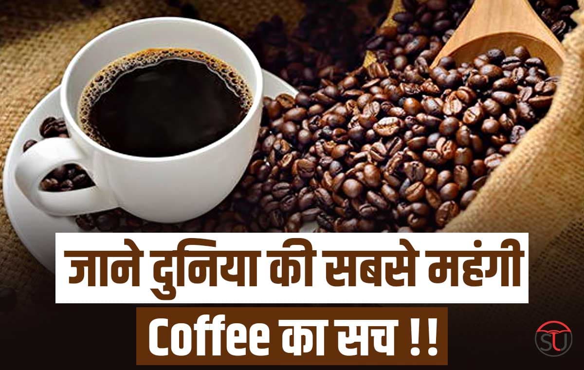 Luwak Coffee के आगे भूल जाएंगे आप Nescafe Coffee का स्वाद, जाने क्या है खास बात!!