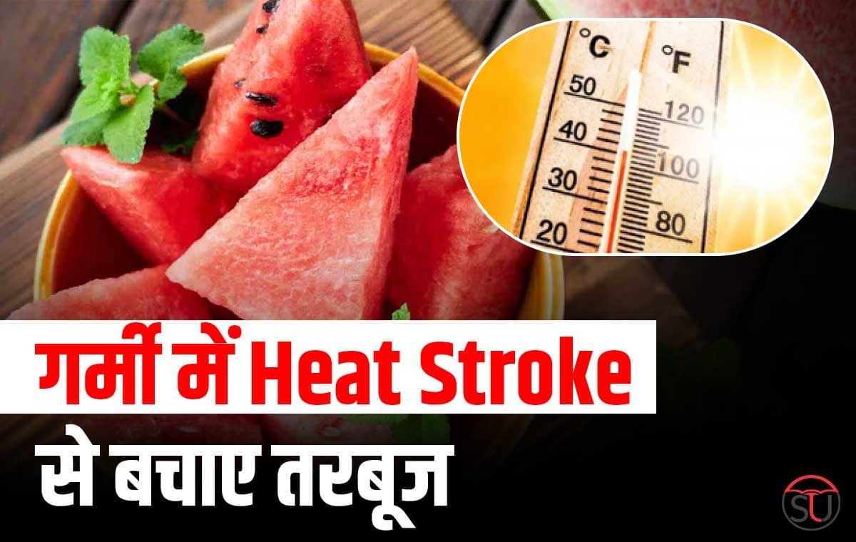 Heat Stroke के कारण अपने शरीर के बढ़ते तापमान को करें कम, बीमारी से बचने के लिए करें इन चीजों का सेवन !!