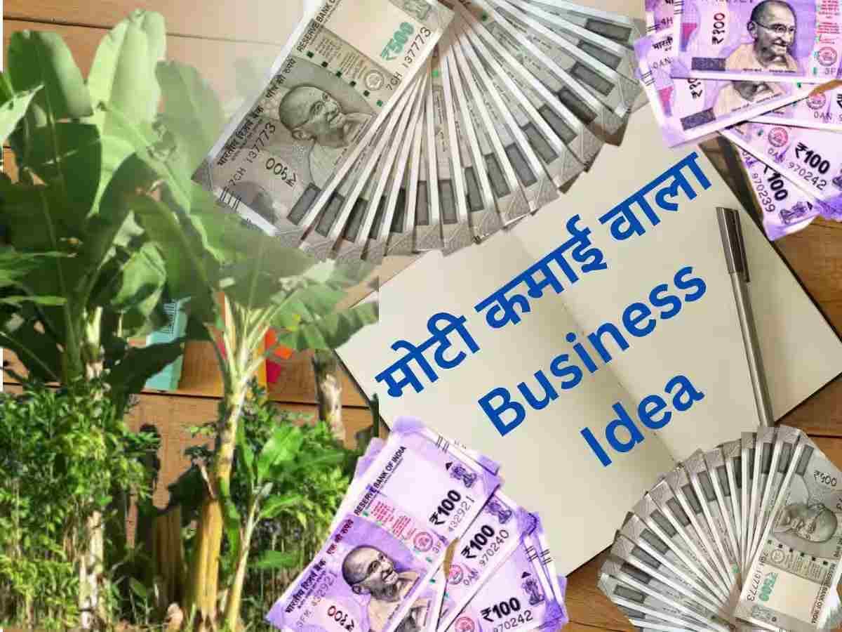 Business Idea: कम लागत का business कर देगा आपको मालामाल, जानिए क्या है बिजनेस
