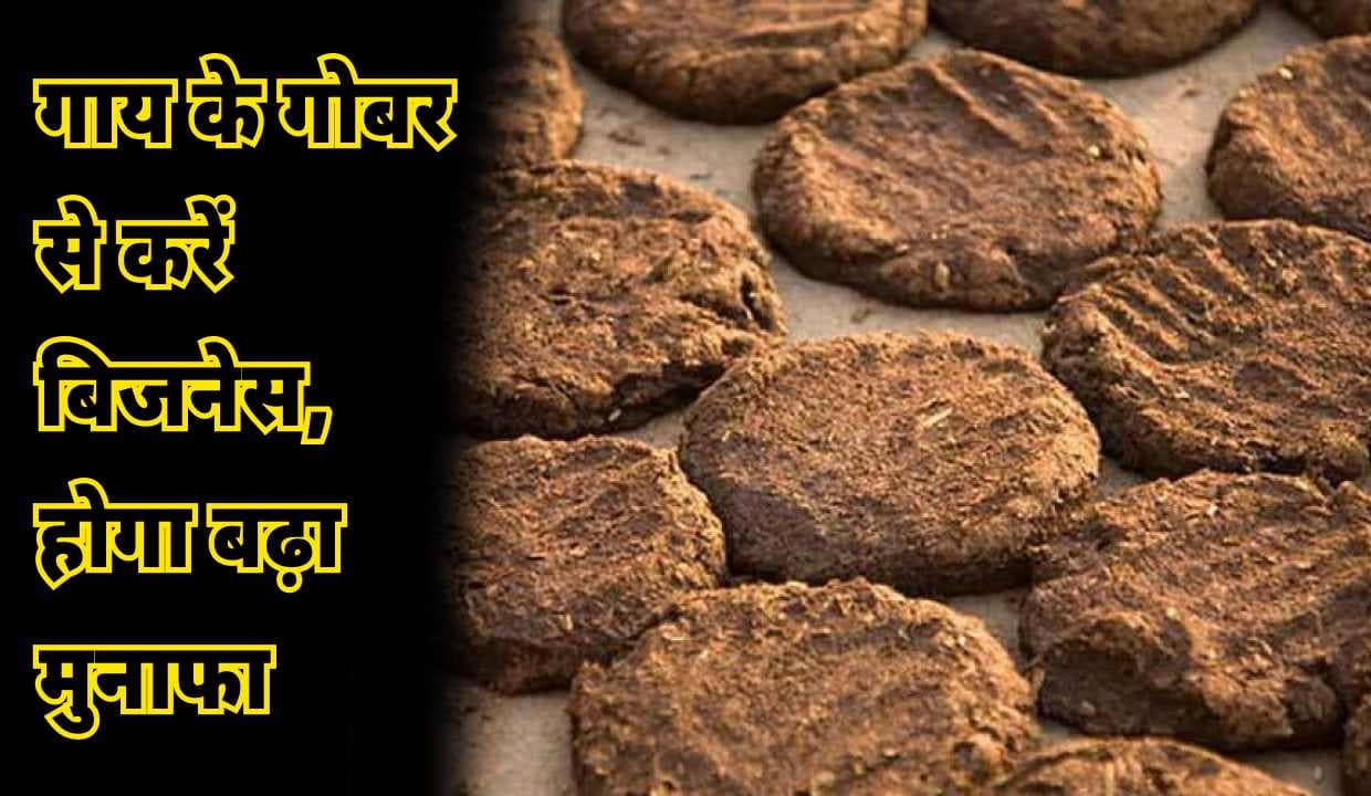 Business Idea: गाय के गोबर से करें बिजनेस, होगा बढ़ा मुनाफा