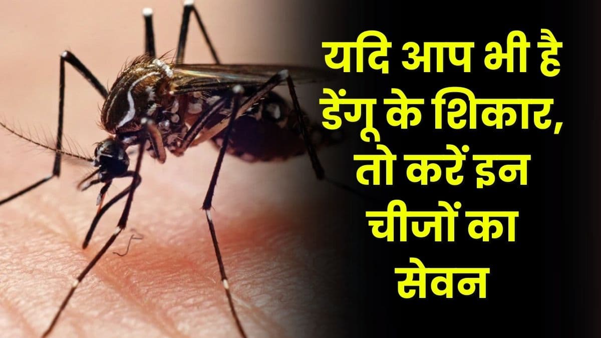 Health Tips: यदि आप भी है डेंगू के शिकार, तो करें इन चीजों का सेवन, जल्द ही मिलेगा फायदा