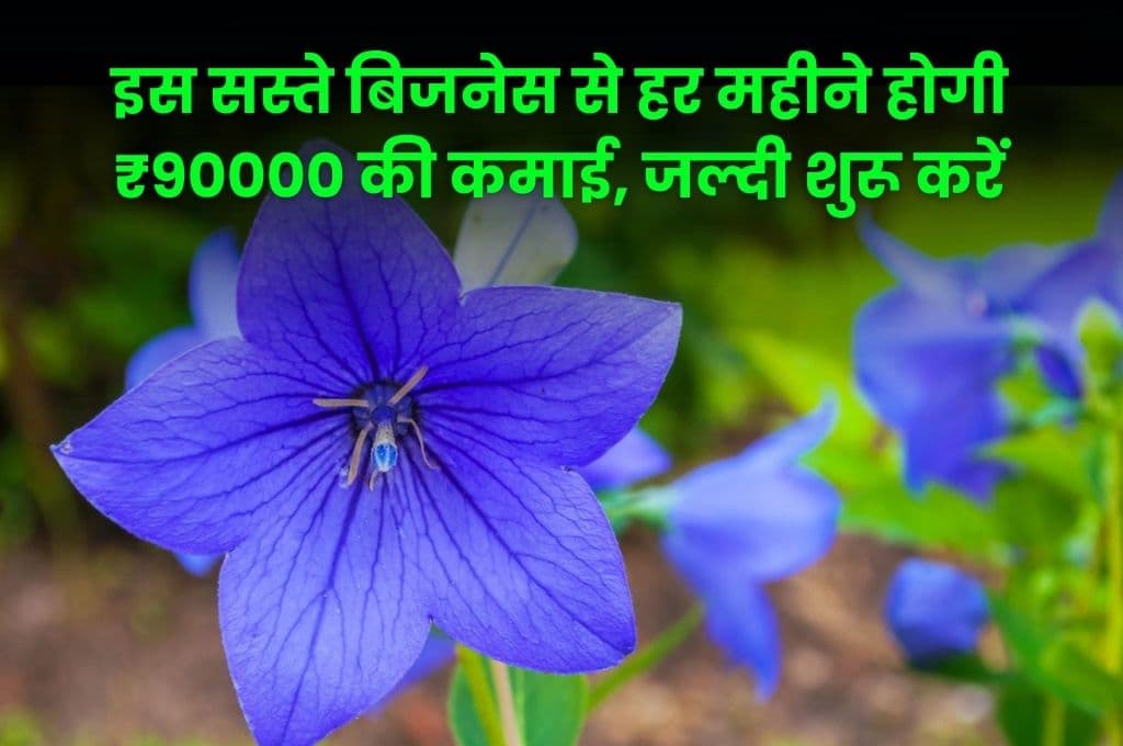 Business Idea: इस सस्ते बिजनेस से हर महीने होगी ₹90000 की कमाई, जल्दी शुरू करें बंपर कमाई कराने वाले इस बिजनेस को