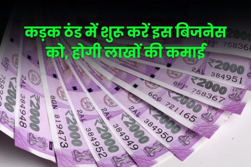 Business Idea: कड़क ठंड में शुरू करें इस बिजनेस को, होगी लाखों की कमाई