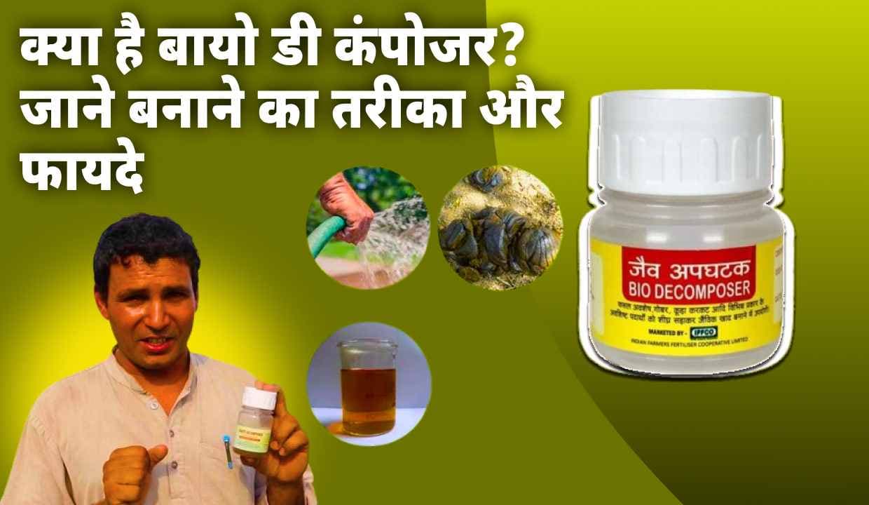 क्या है Bio Decomposer? जाने बनाने का तरीका और 10 फायदे