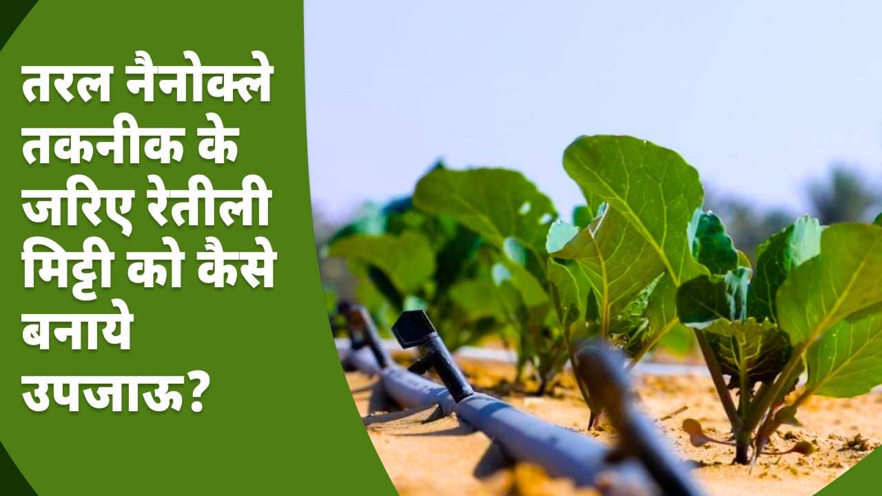 तरल नैनोक्ले तकनीक के जरिए रेतीली मिट्टी को कैसे बनाये उपजाऊ?