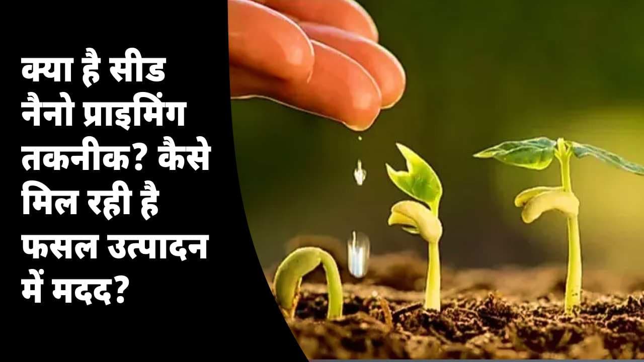 क्या है सीड नैनो प्राइमिंग तकनीक? कैसे मिल रही है फसल उत्पादन में मदद? जाने इसके 5 फ़ायदे
