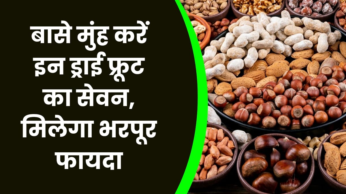 Good Health Tips: बासे मुंह करें इन ड्राई फ्रूट का सेवन, मिलेगा भरपूर फायदा, कई बीमारियों से मिलेगा छुटकारा