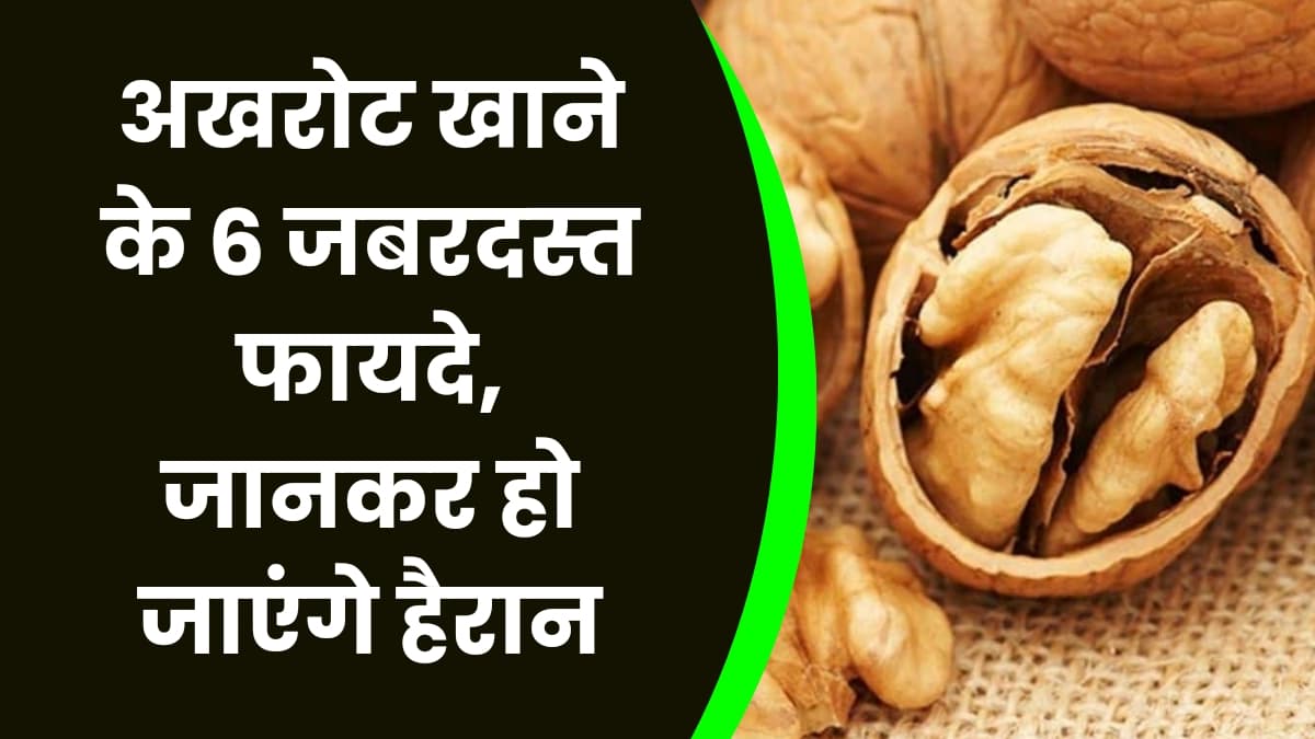 Good Health Tips: अखरोट खाने के 6 जबरदस्त फायदे, जानकर हो जाएंगे हैरान