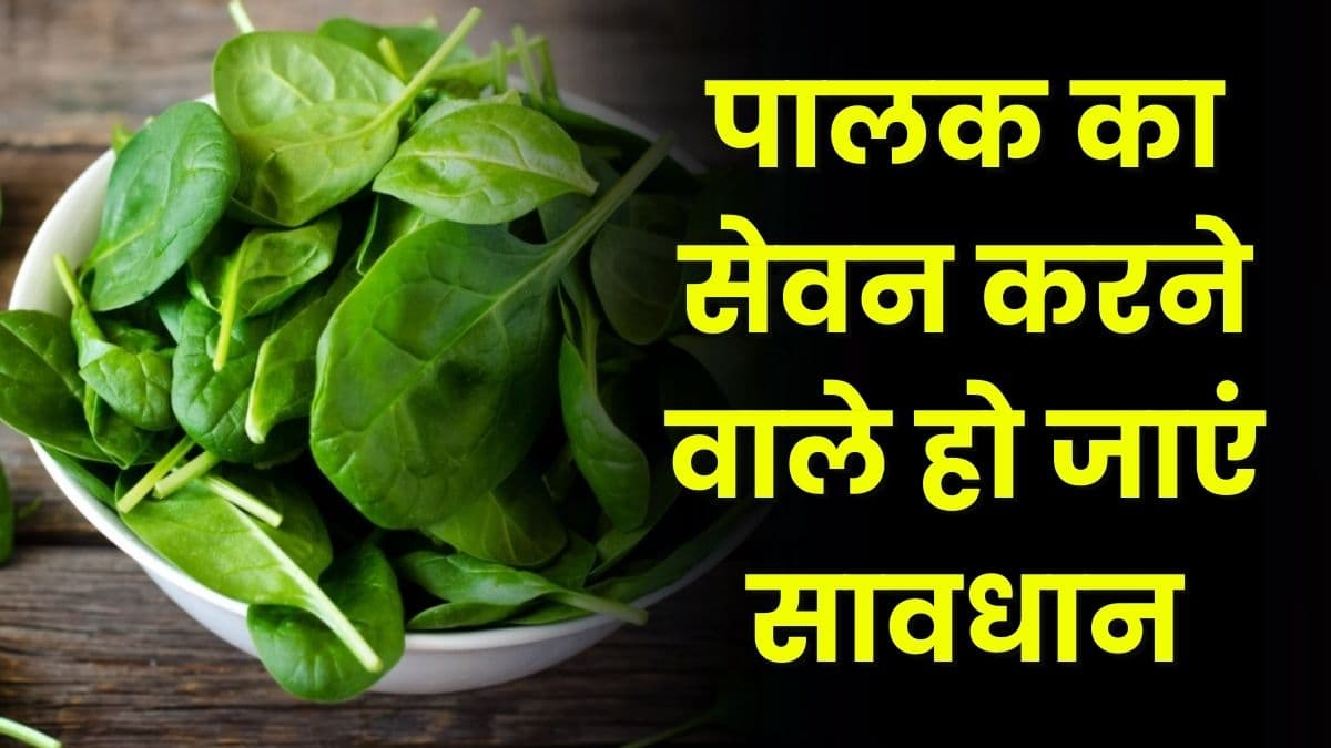 Good Health Tips: पालक का सेवन करने वाले हो जाएं सावधान, इन तीन लोगों को हो सकती है भारी बड़ी समस्या