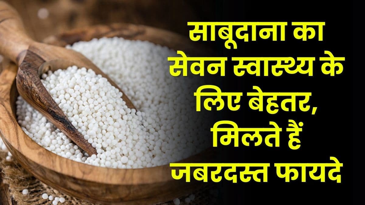 Health Tips: साबूदाना का सेवन स्वास्थ्य के लिए बेहतर, मिलते हैं जबरदस्त फायदे