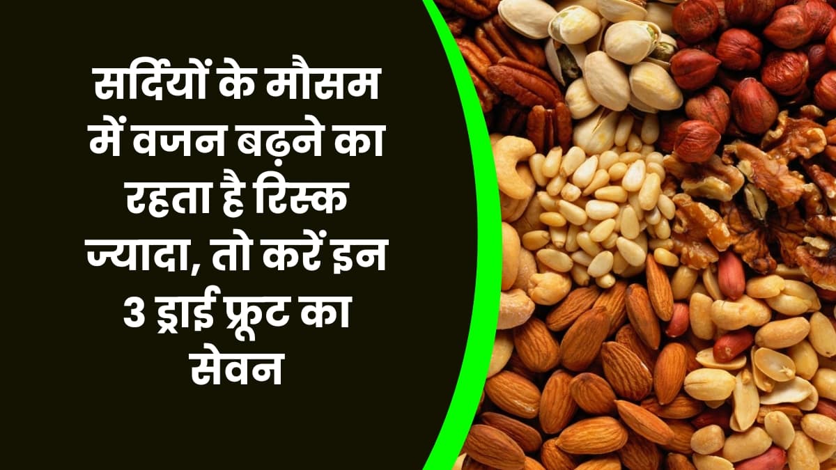 Health Tips: सर्दियों के मौसम में वजन बढ़ने का रहता है रिस्क ज्यादा, तो करें इन 3 ड्राई फ्रूट का सेवन, वजन रहेगा कंट्रोल