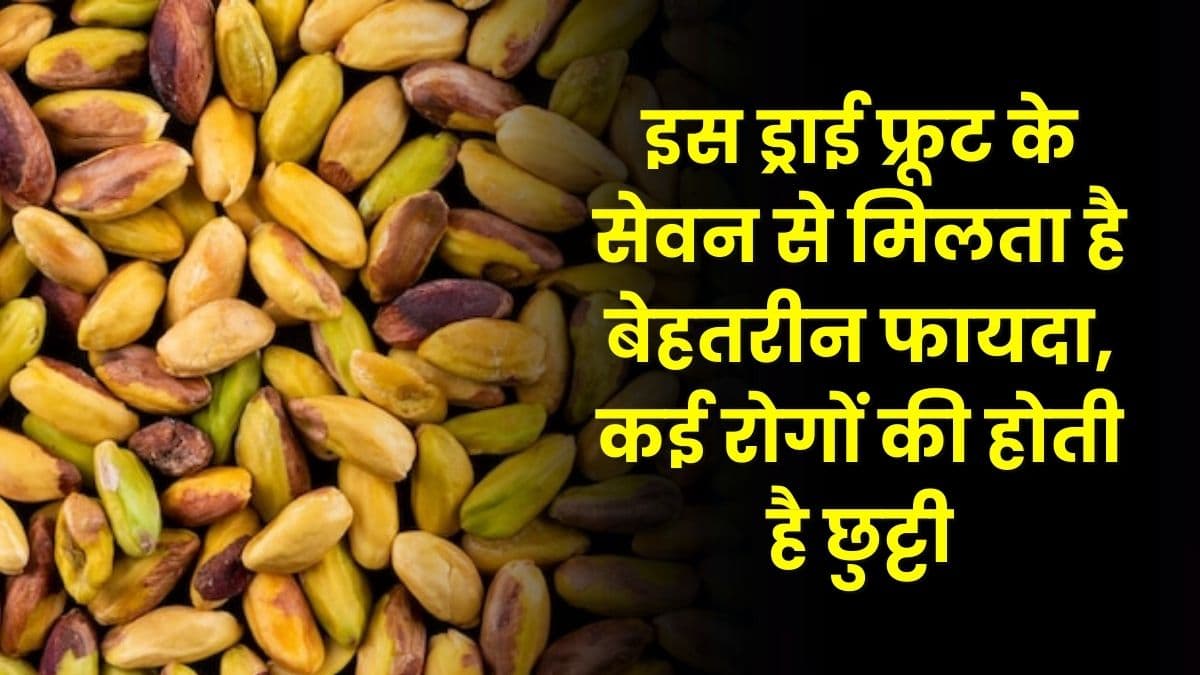 Health Tips: इस ड्राई फ्रूट के सेवन से मिलता है बेहतरीन फायदा, कई रोगों की होती है छुट्टी, जाने नाम