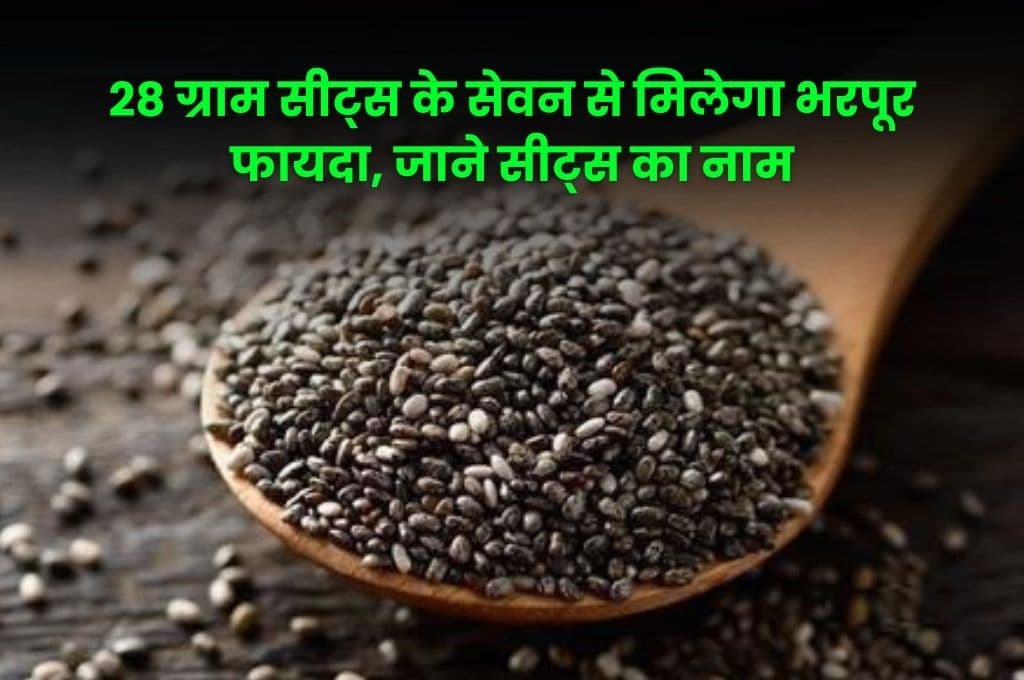 Health Tips: 28 ग्राम सीट्स के सेवन से मिलेगा भरपूर फायदा, जाने सीट्स का नाम