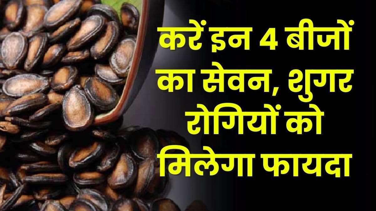 Health Tips: करें इन 4 बीजों का सेवन, शुगर रोगियों को मिलेगा फायदा, हमेशा रहेंगे दुरुस्त