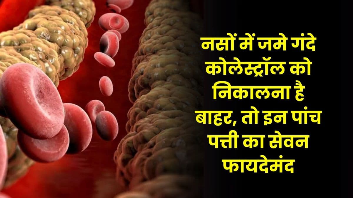 Health Tips: नसों में जमे गंदे कोलेस्ट्रॉल को निकालना है बाहर, तो इन पांच पत्ती का सेवन फायदेमंद, जाने नाम