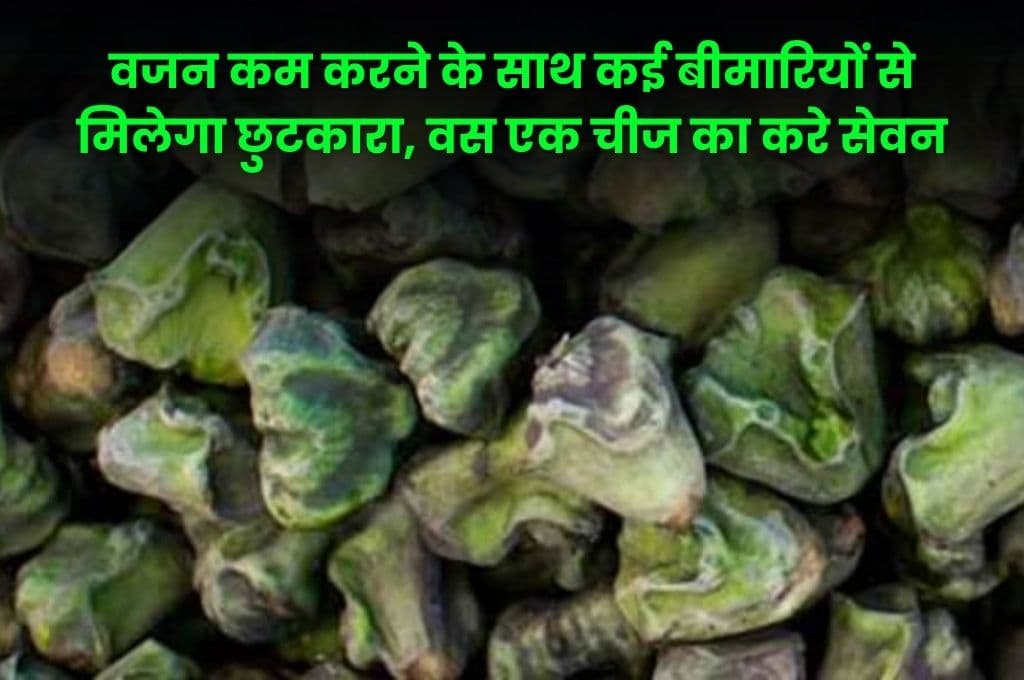 Health Tips: वजन कम करने के साथ कई बीमारियों से मिलेगा छुटकारा, वस एक चीज का करे सेवन, मिलेगा बेहतरीन फायदा