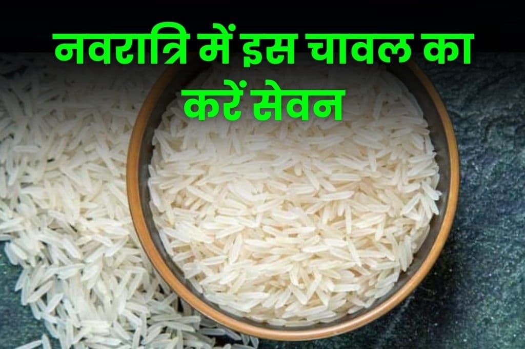 Health Tips: नवरात्रि में इस चावल का करें सेवन, रोगों से मिलेगा हमेशा के लिए छुटकारा