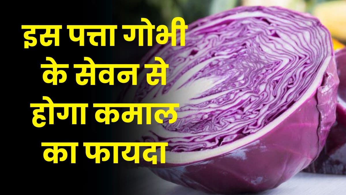 Health Tips: इस पत्ता गोभी के सेवन से होगा कमाल का फायदा, कैंसर सहित कई रोगों से मिलेगा छुटकारा
